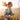 The Oral Microbiome: Its Impact on Oral and Systemic Health - SmileSip USA